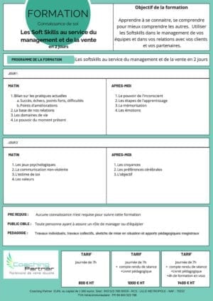 Les softskills au service du management et de la vente en 2 jours